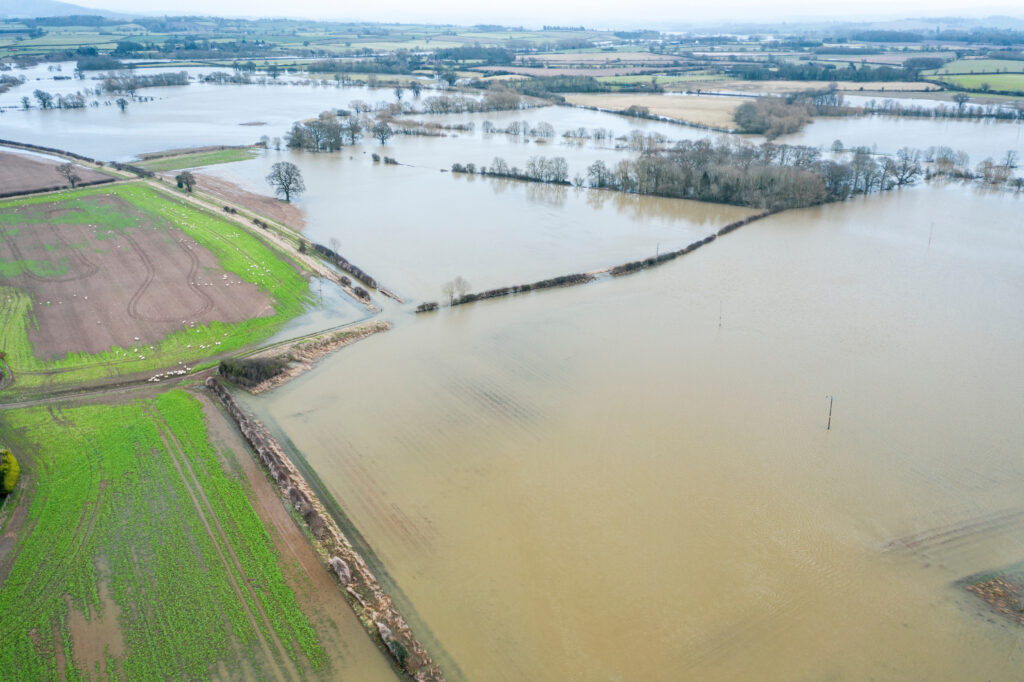 River Severn in Flood at Atcham in Shropshire